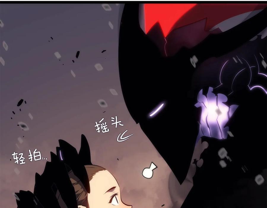 第204页