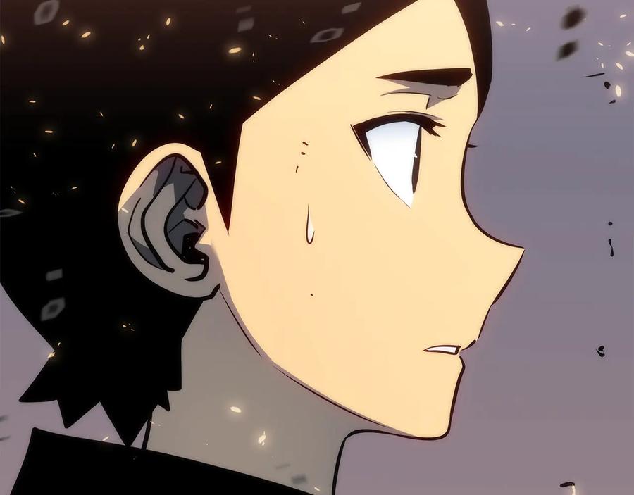 第228页
