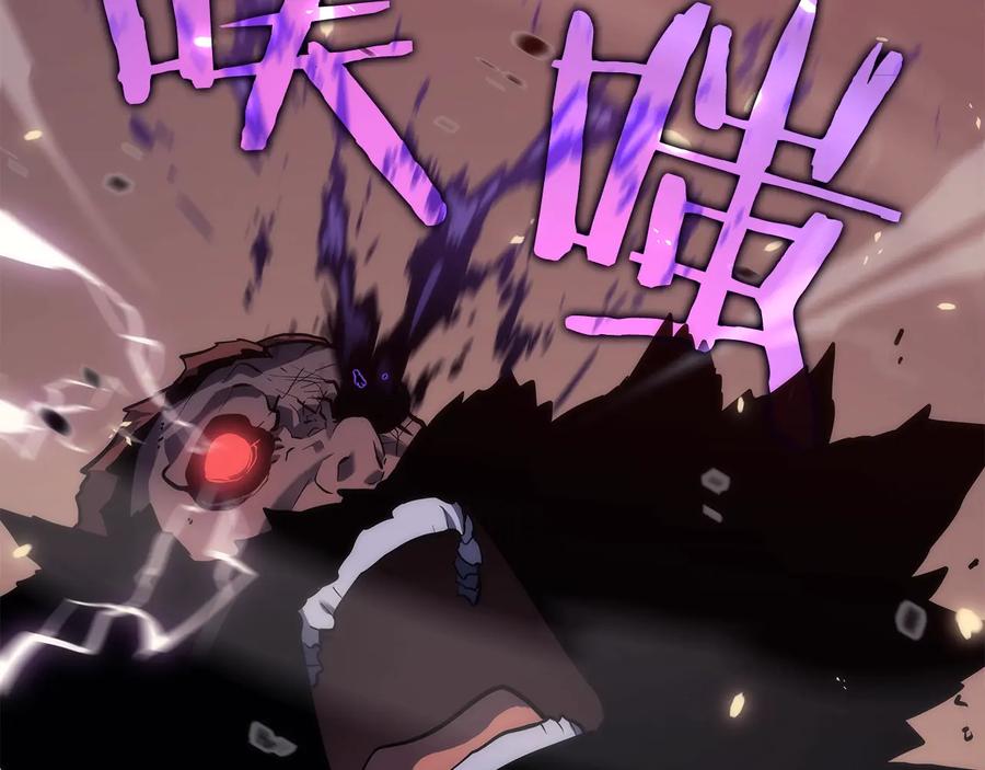 第247页