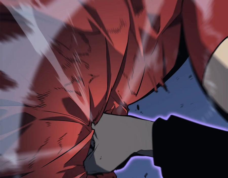 第242页