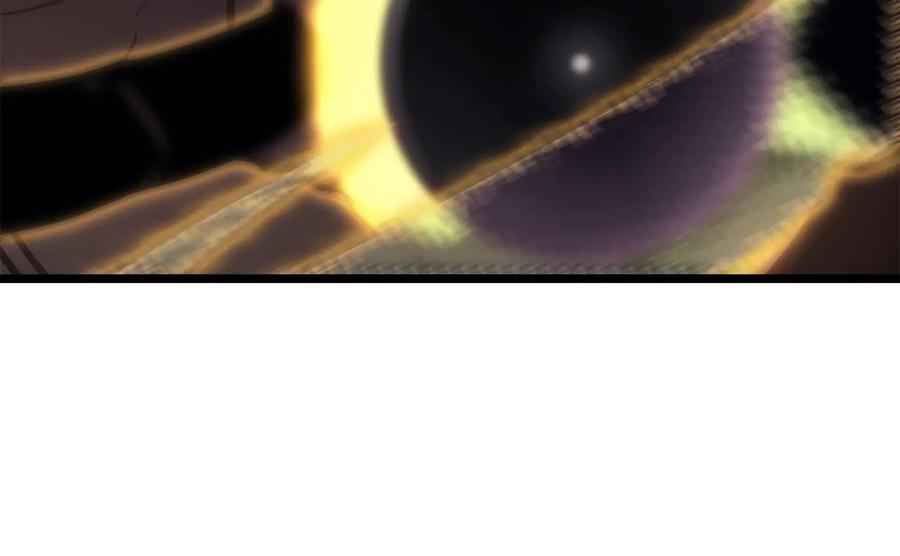 第255页
