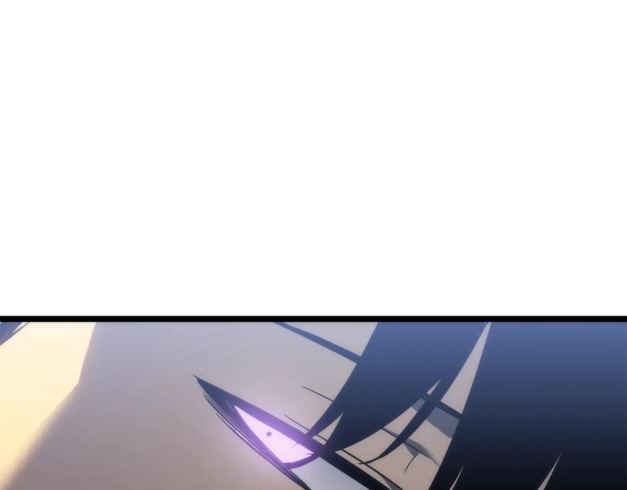 第242页