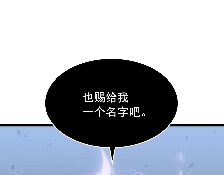 第244页