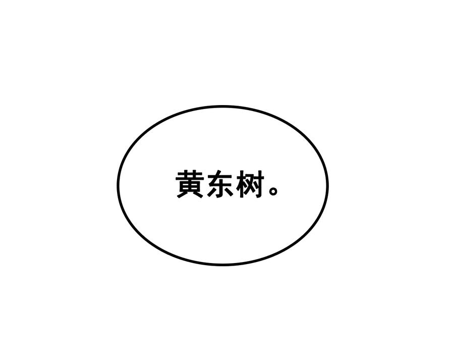 第255页