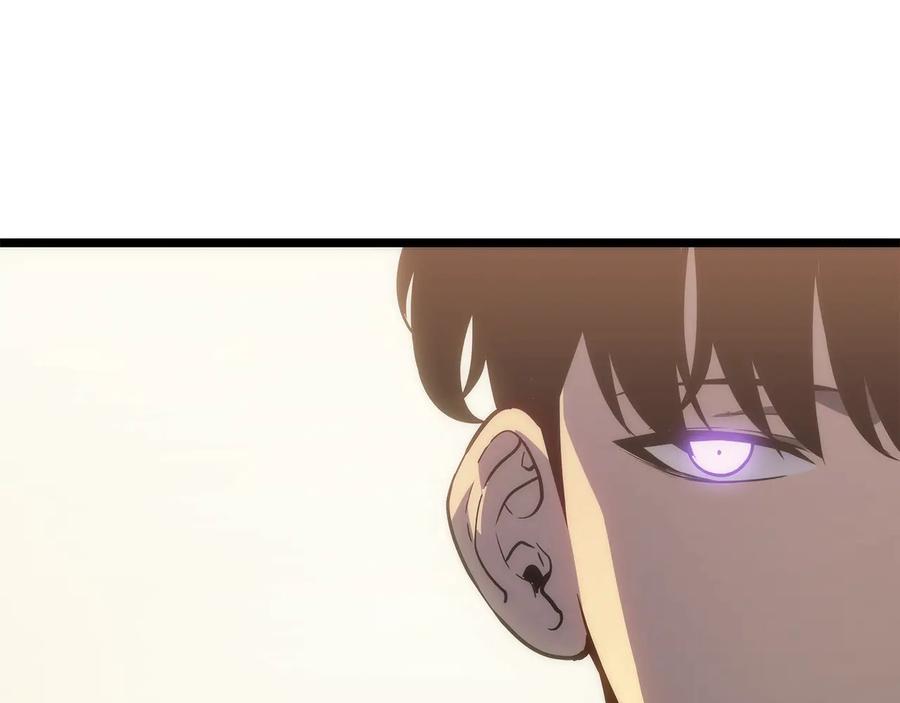 第244页