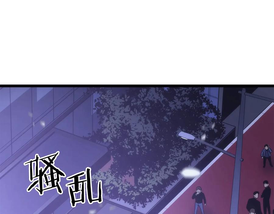 第204页