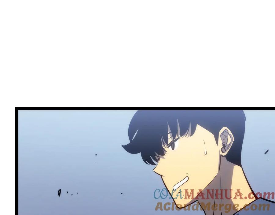 第205页