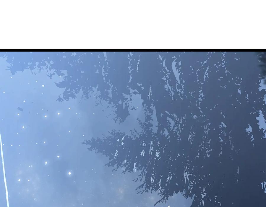 第215页