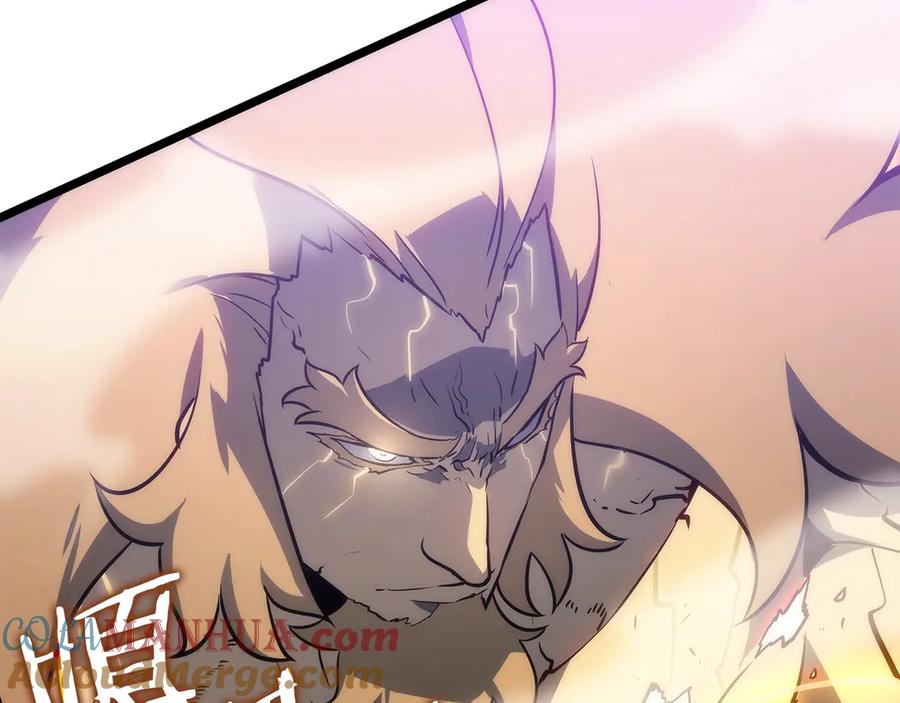第221页