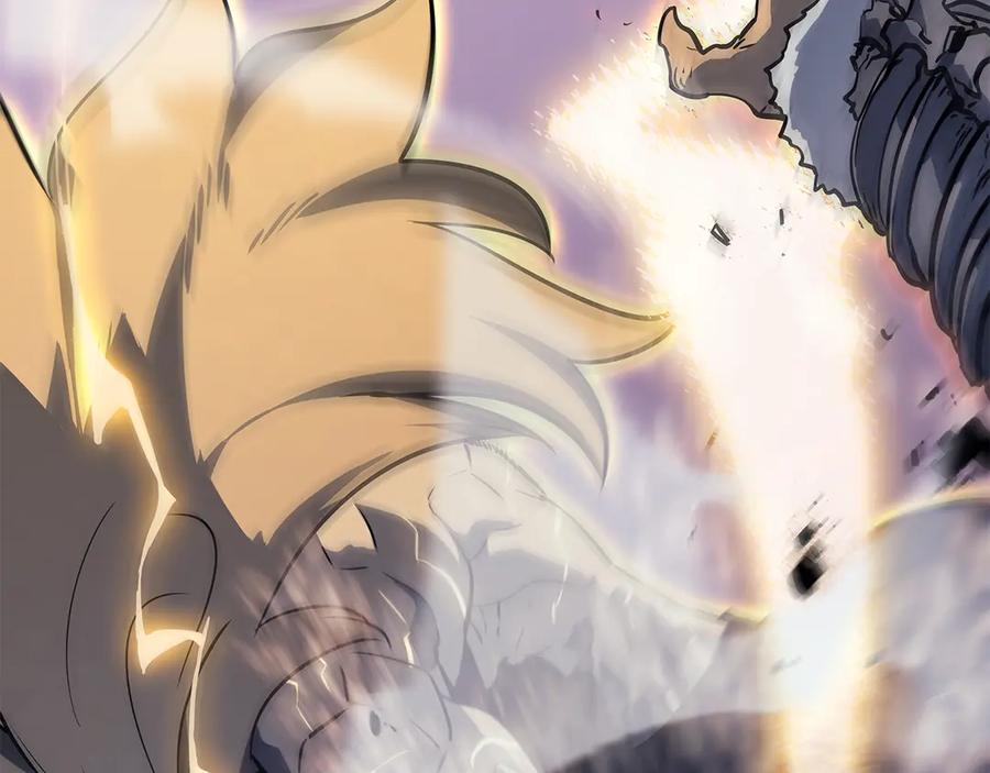 第242页