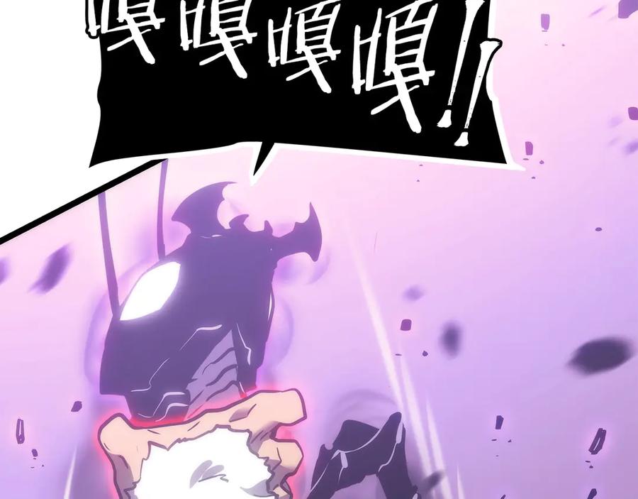 第228页