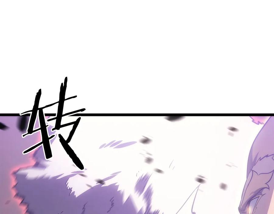 第260页