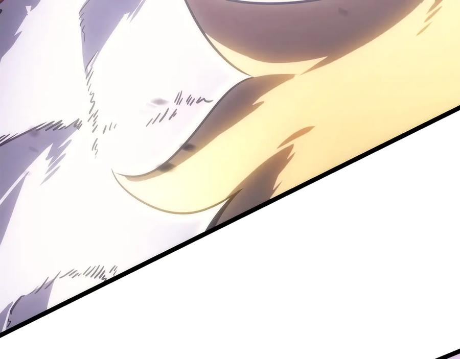第262页