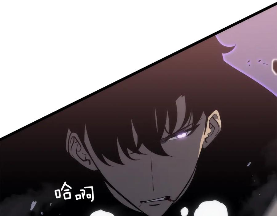 第226页