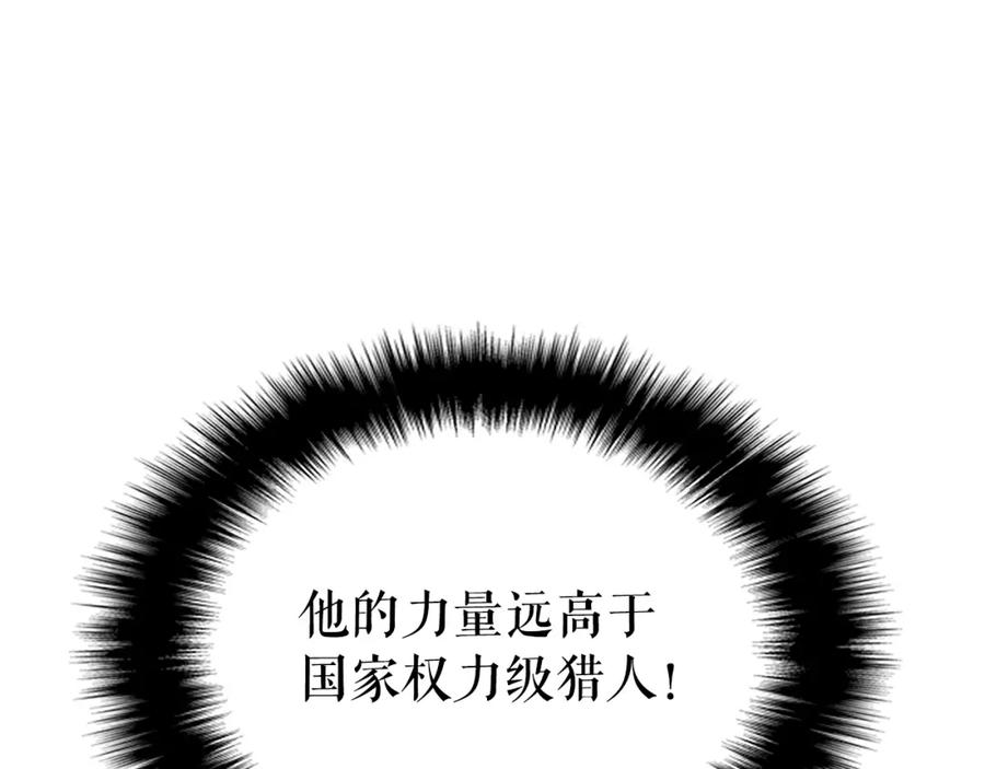 第242页
