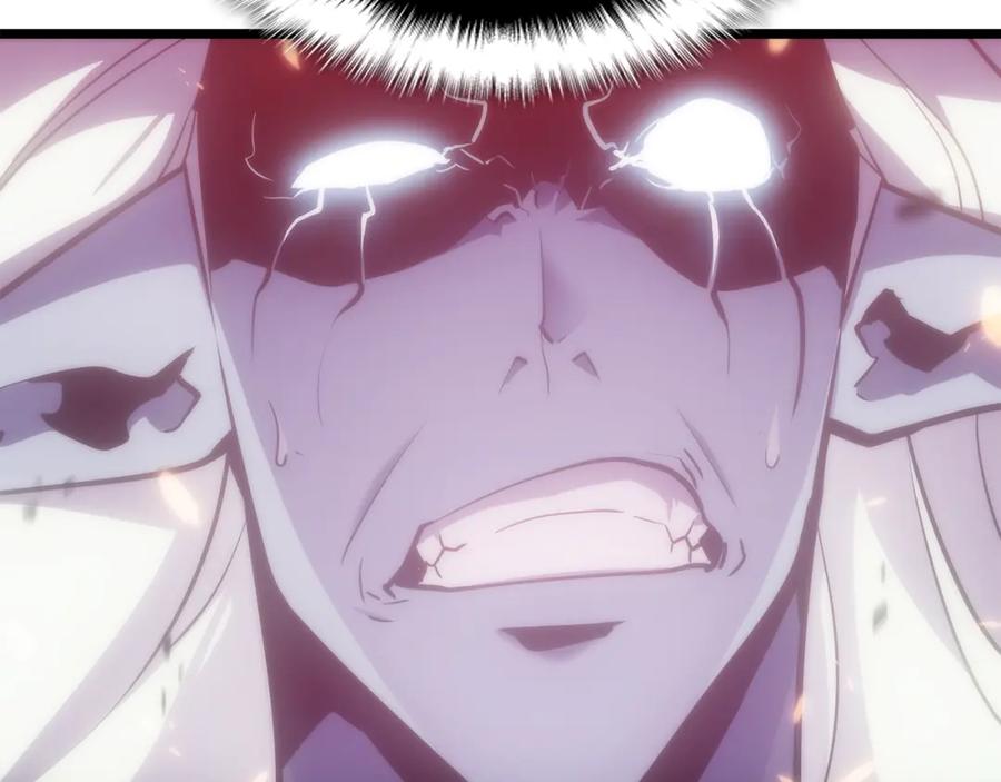 第242页