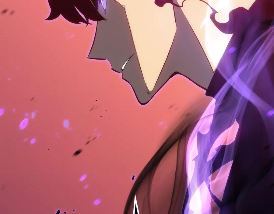 第255页