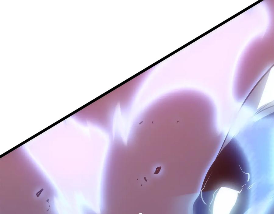第224页