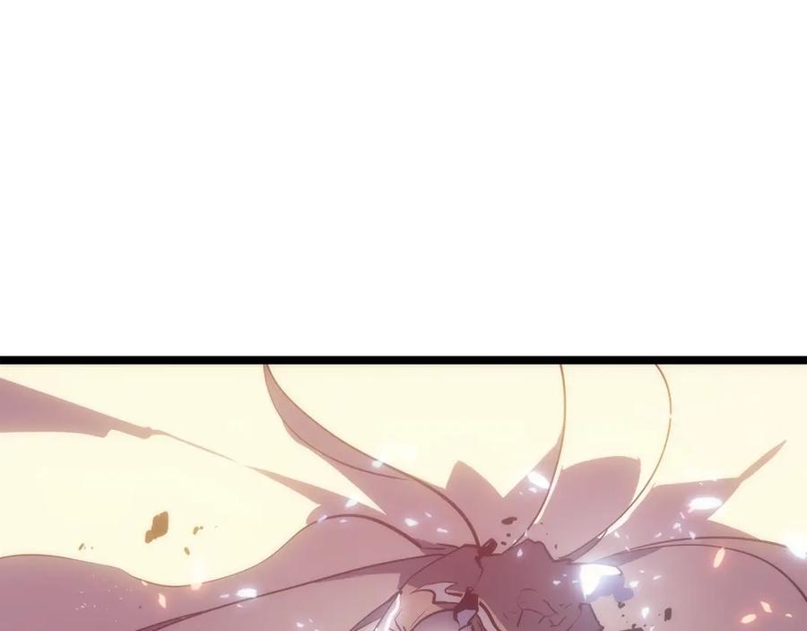 第244页
