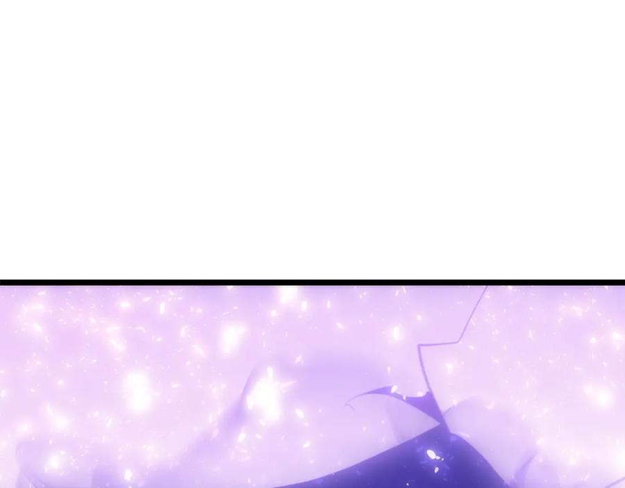 第239页