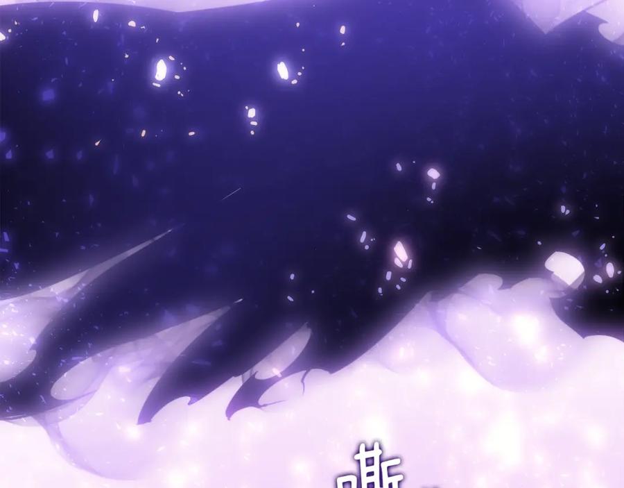 第240页