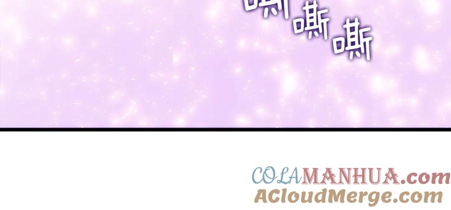 第241页