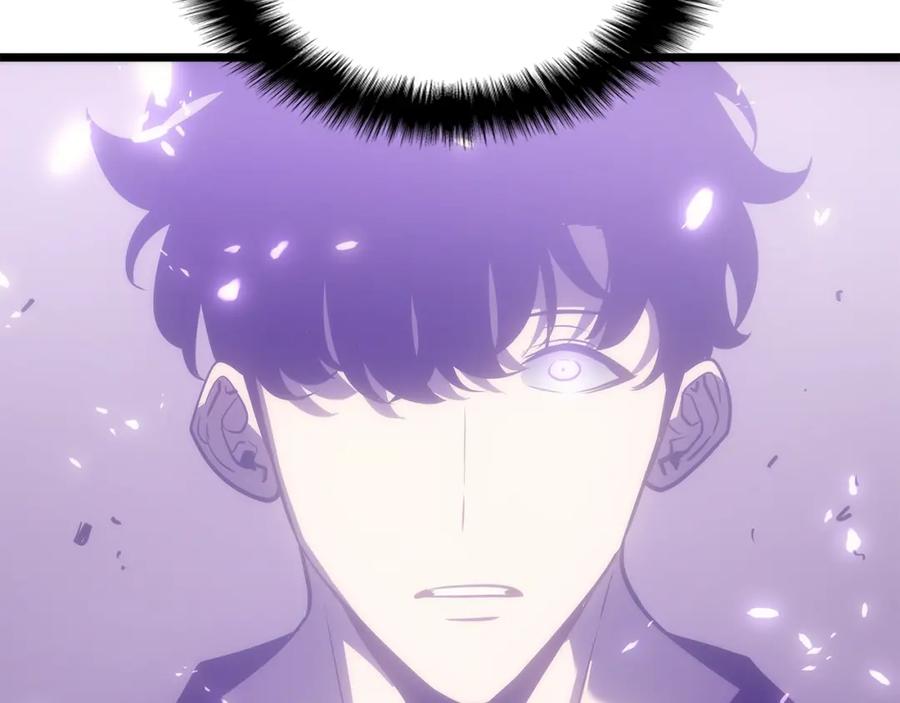 第246页