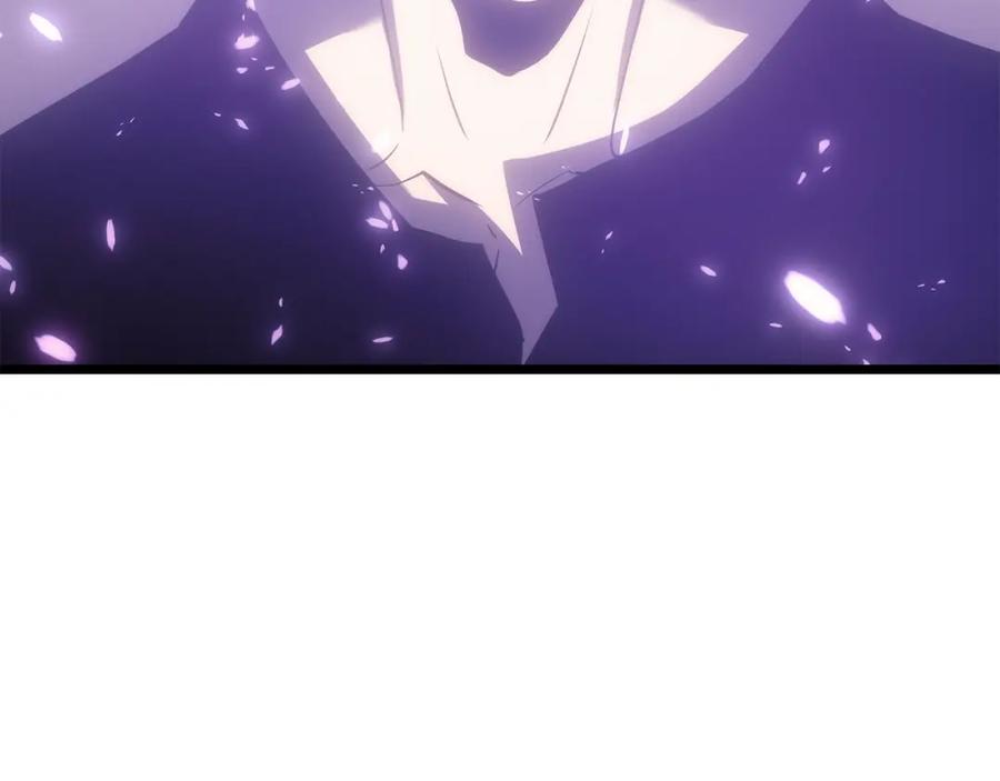 第247页