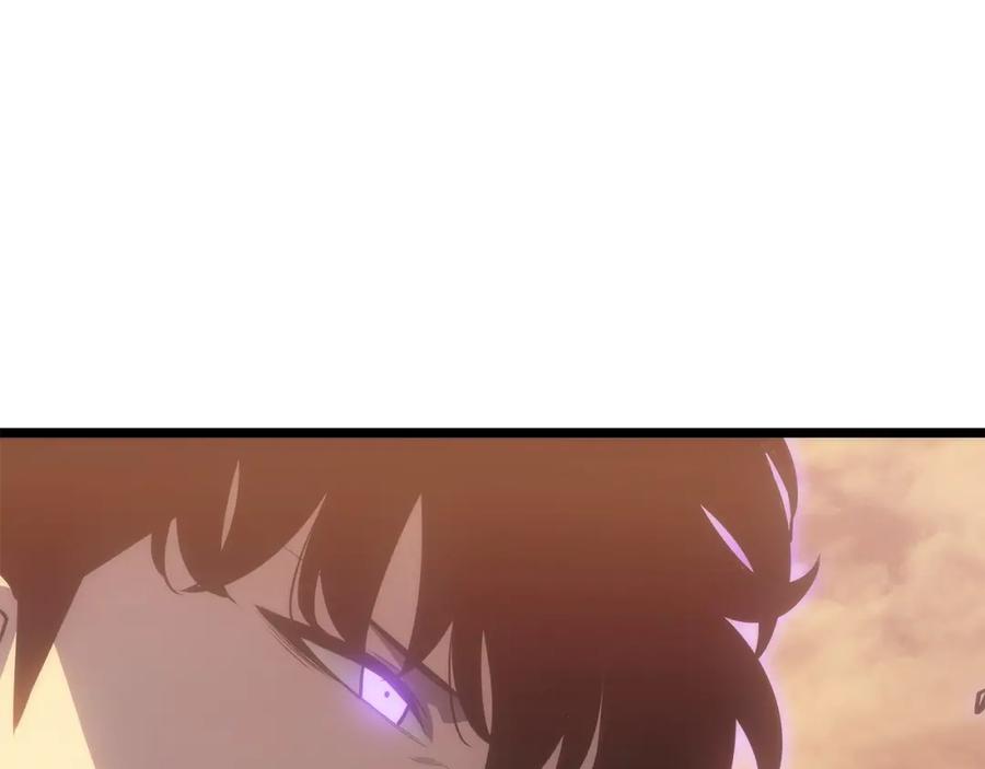 第238页