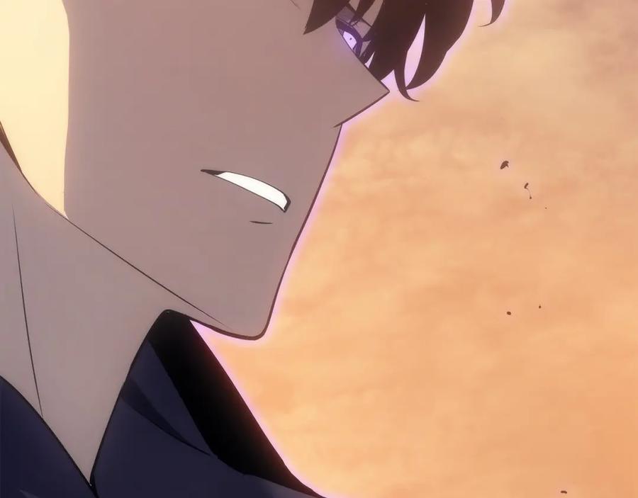 第239页