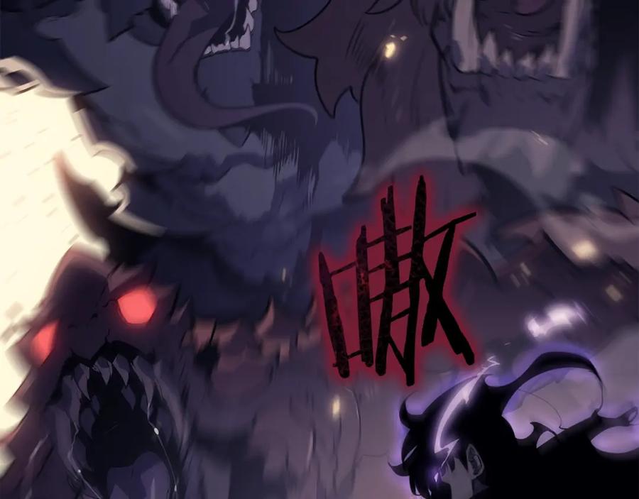 第224页