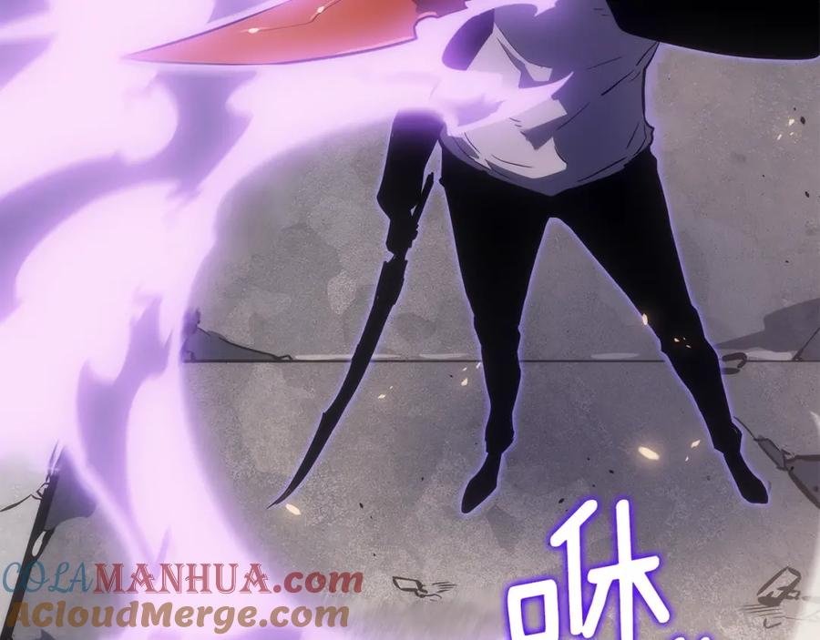 第233页