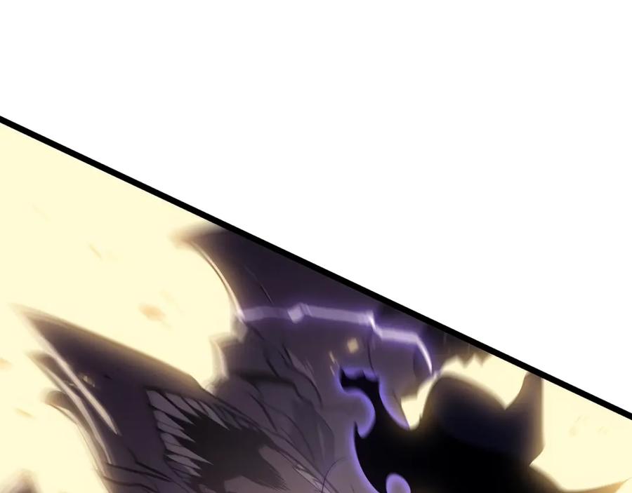第238页