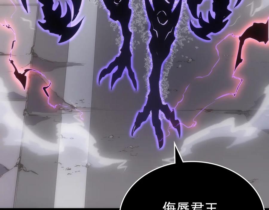 第231页