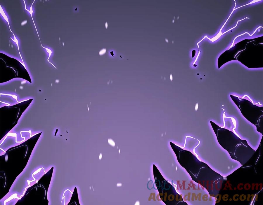 第205页