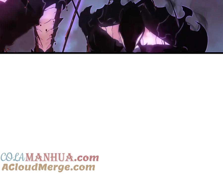 第205页
