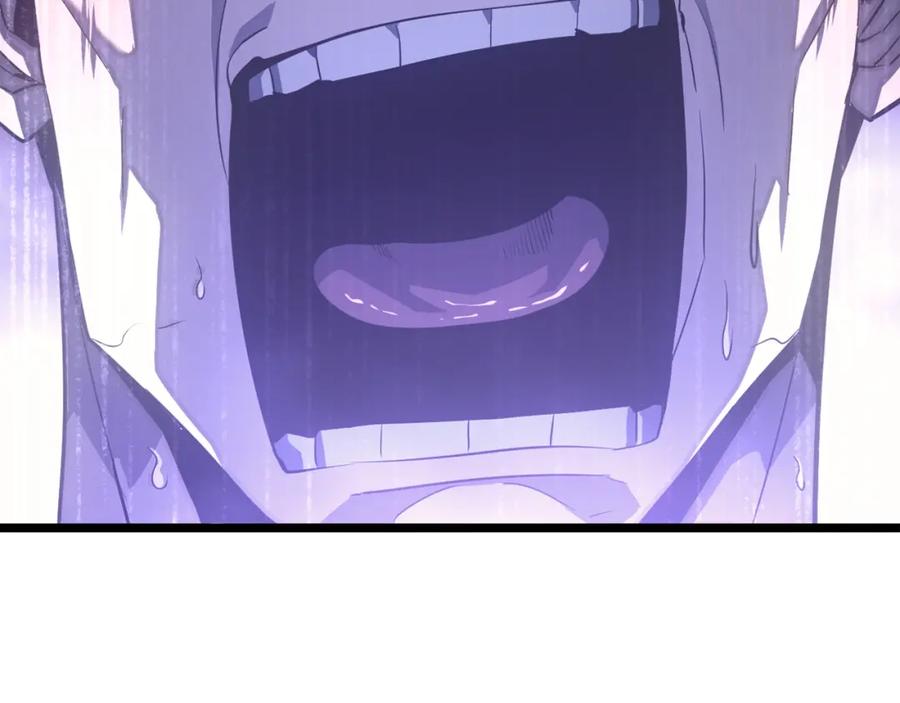 第244页