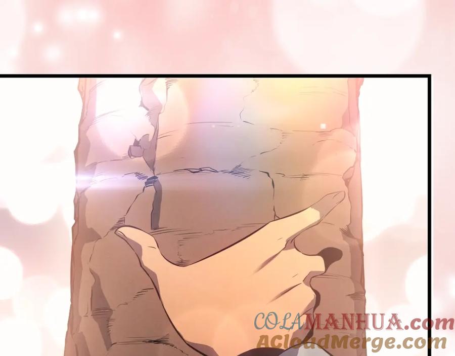 第257页