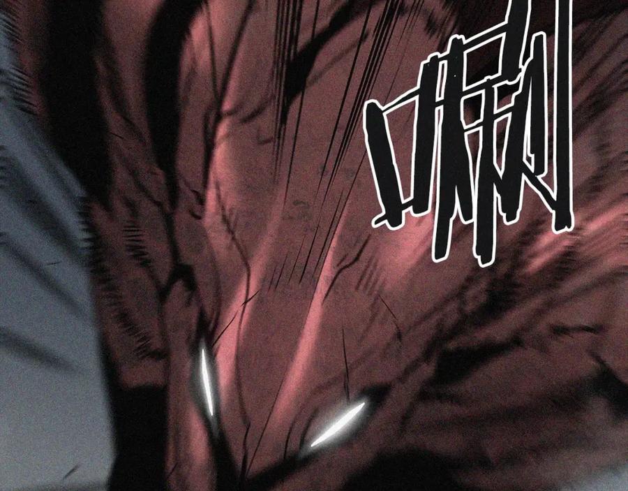 第234页