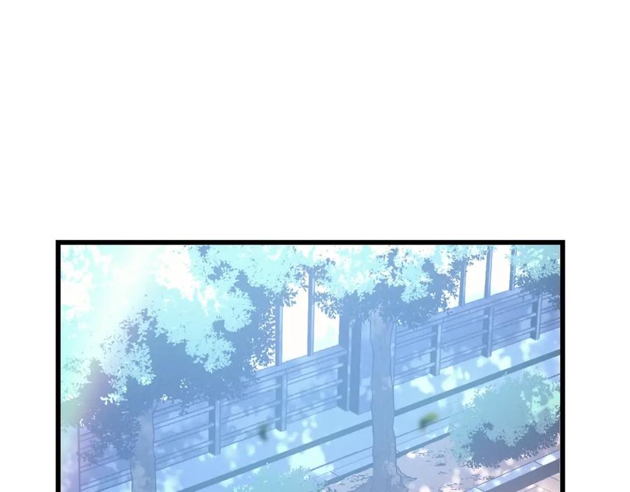 第242页
