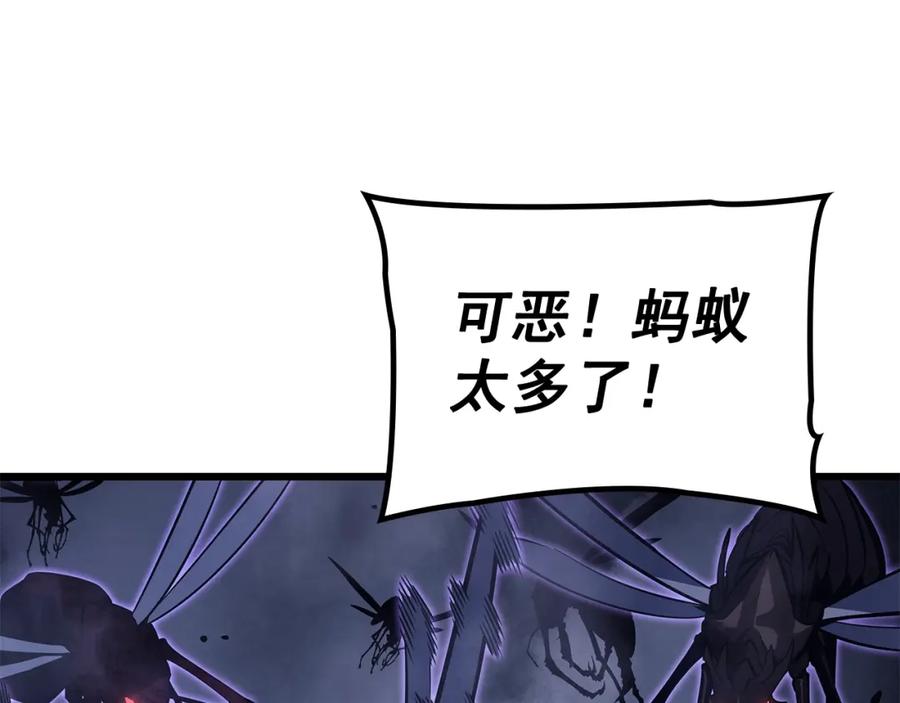 第239页