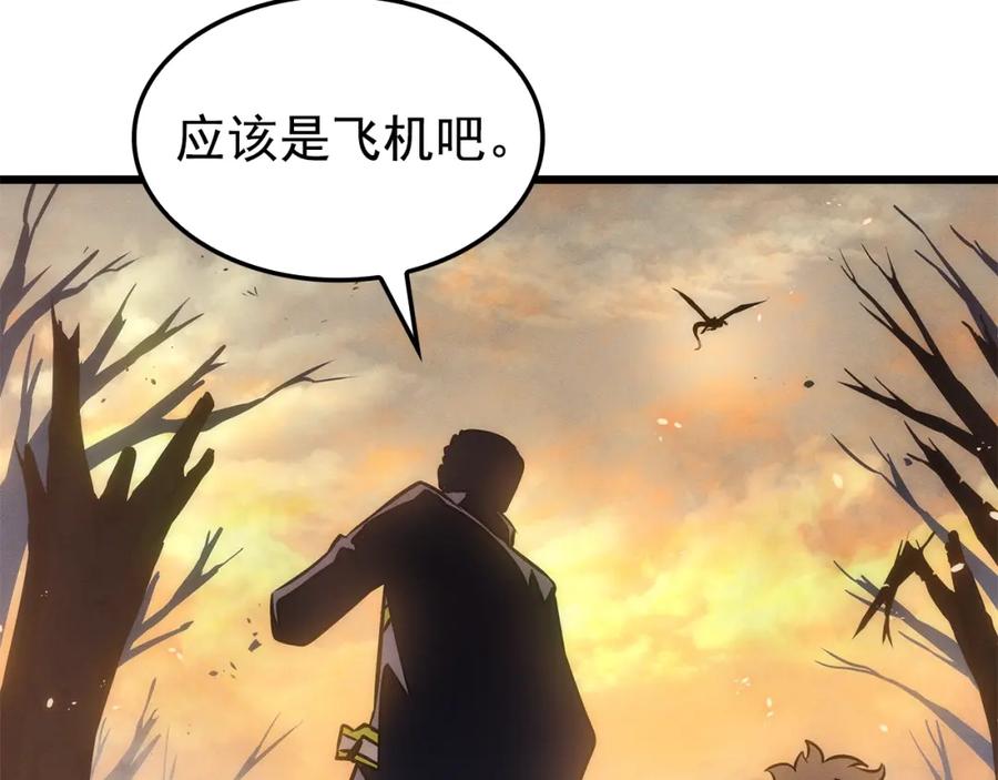 第204页