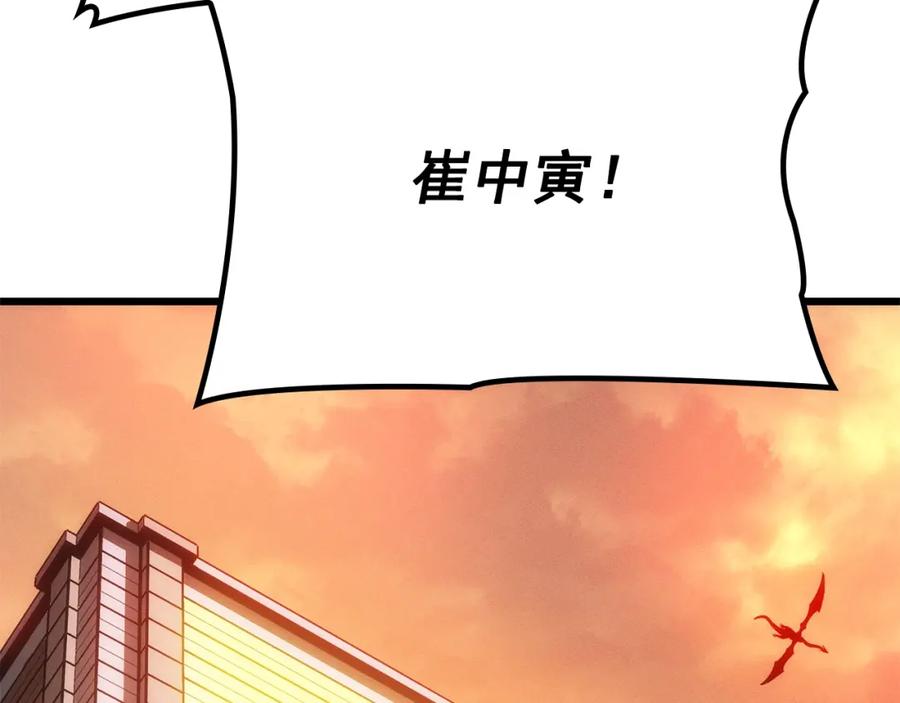 第242页
