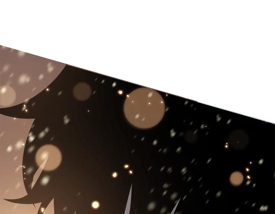 第243页
