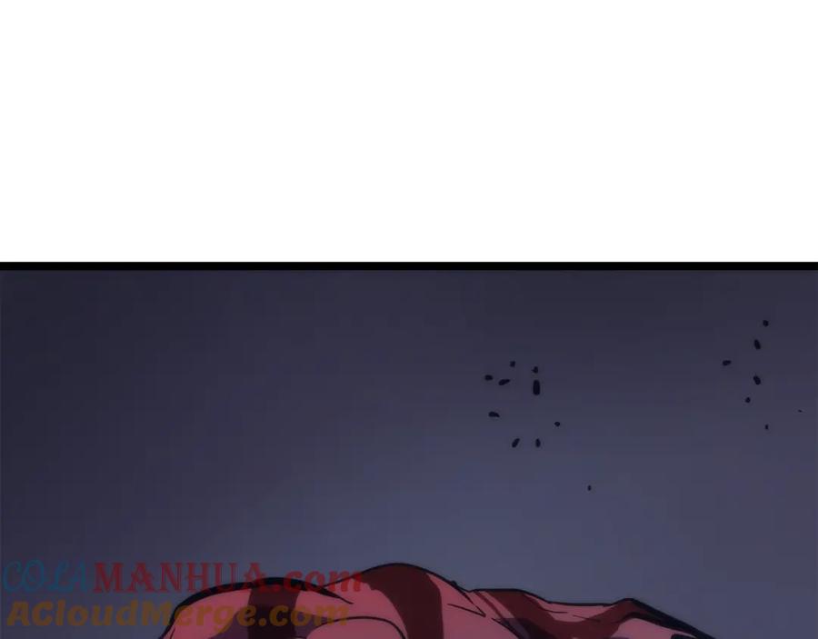 第209页