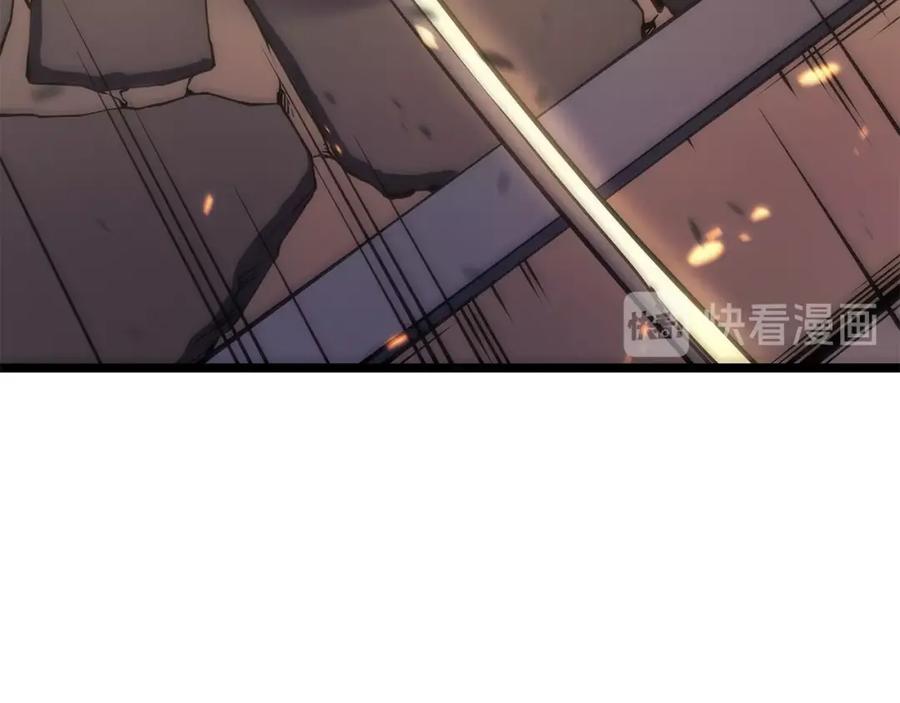 第204页