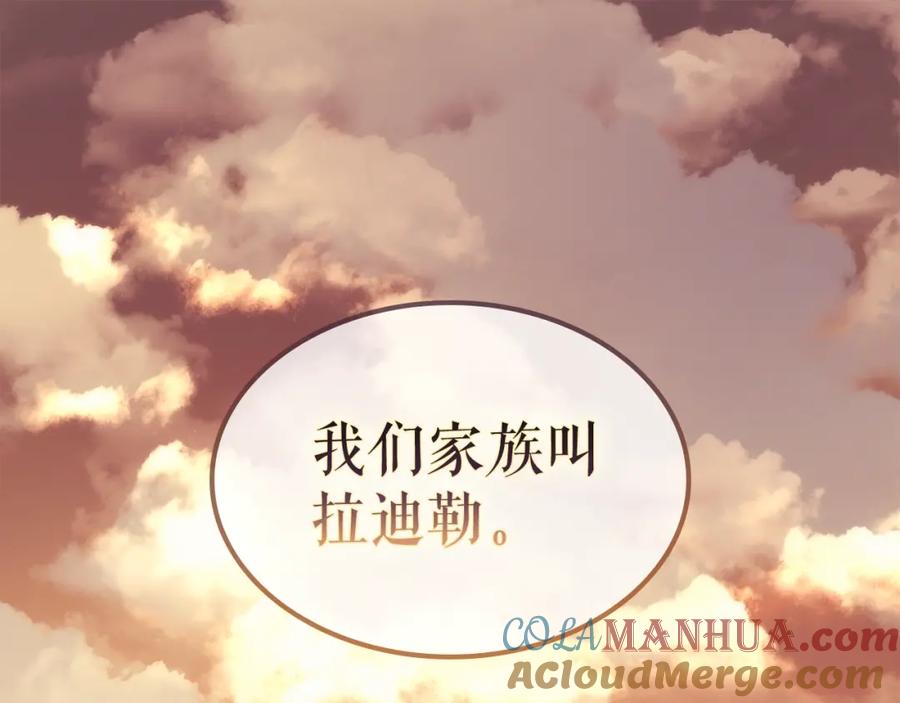 第241页