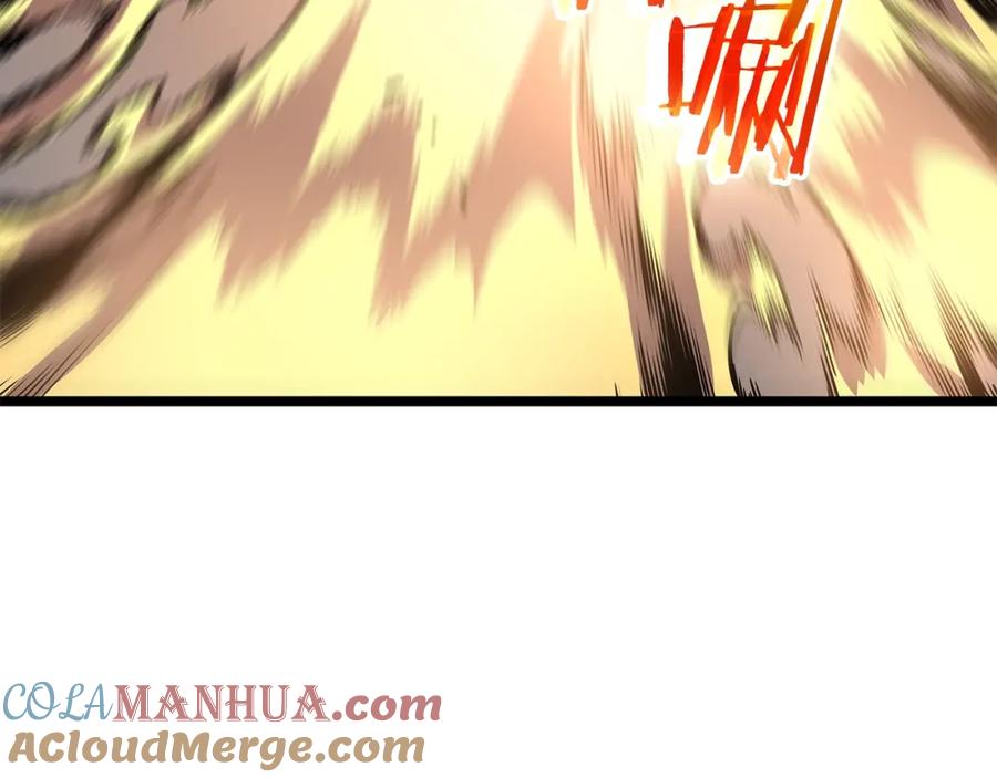 第217页