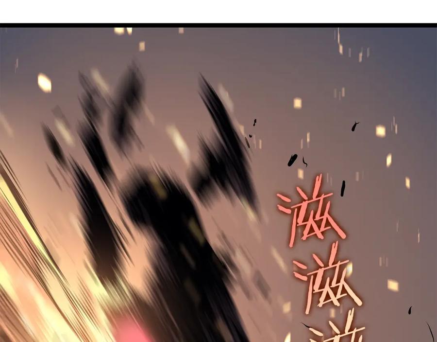 第219页