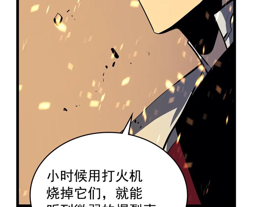 第224页